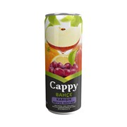 Cappy 330 Ml Karışık Kutu