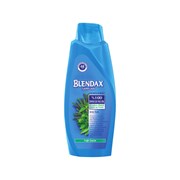 Blendax 500 Ml Yağlı Saçlar İçin Bitki Özlü DL
