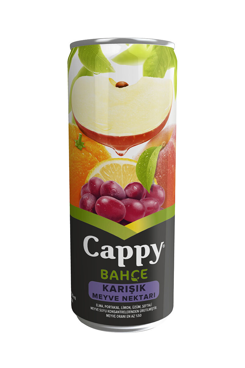 Cappy 330 Ml Karışık Kutu