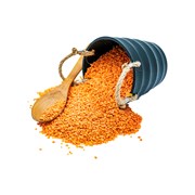 Kırmızı Mercimek Yerli